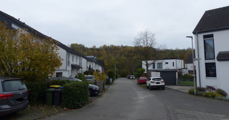 Triemstraße